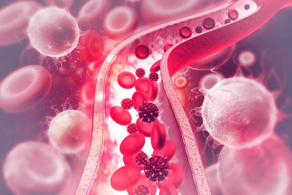 shutterstock_676527088.jpg